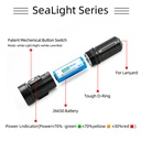 Divevolk Dive Light 2000 lumen PV22 for Underwater Photography