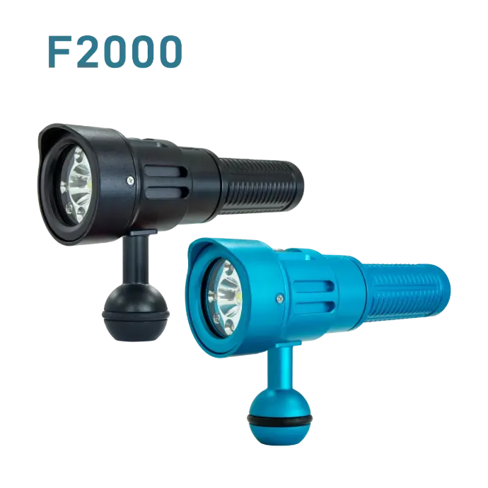 Fotocore Focus Light F2000