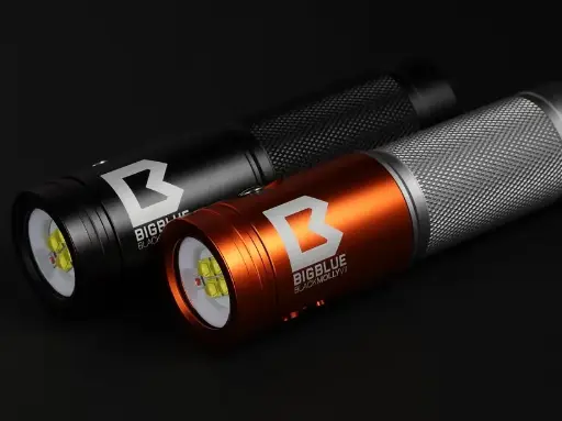 Bigblue Black Molly VII