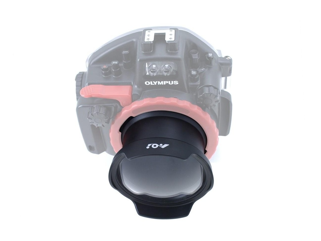 aoi-dlp-09c.jpg