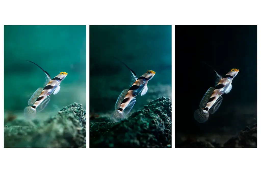 X-2 housing (12).webp