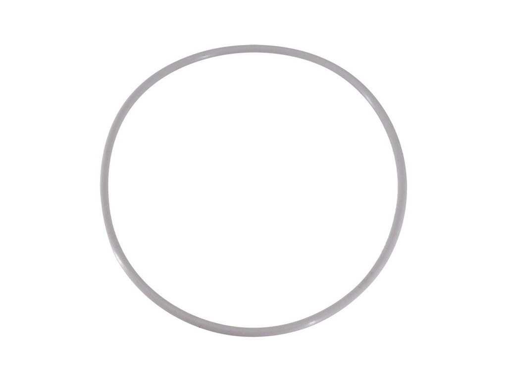 AOI HOR-01 Main Seal O-ring for AOI UH-EPL10 Housing