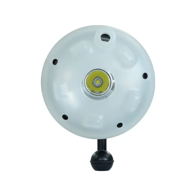 SUPE Scubalamp D210-Difuser for Macro Photography