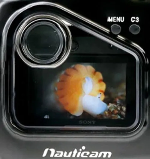 Nauticam NA-Z5II LCD Window for Nauticam Full Frame Viewfinder 