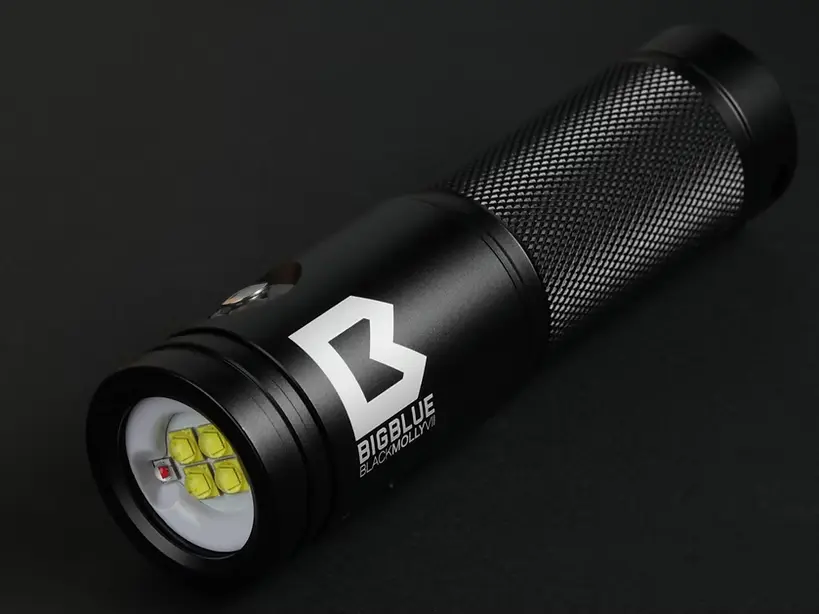 Bigblue Black Molly VII