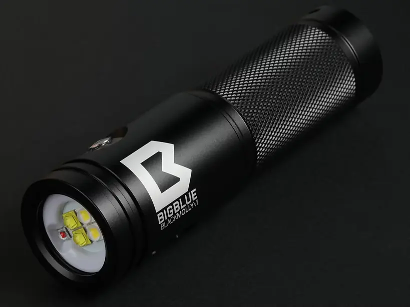 Bigblue Black Molly VI