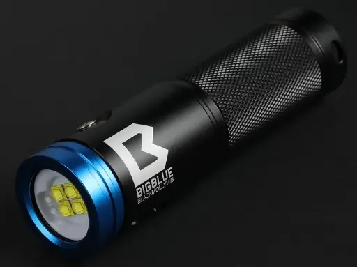 [BLK-Molly-VIIB-2026] Bigblue Black Molly VIIB