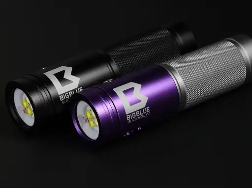 Bigblue Black Molly VI